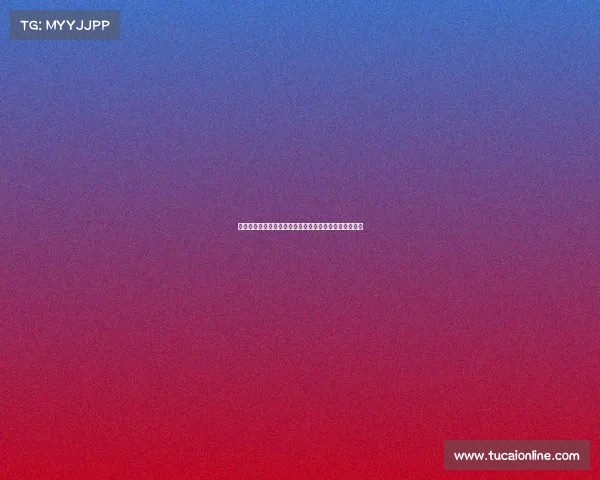 国际银标冠军争霸赛盛大启幕全球精英角逐银色荣耀殿堂